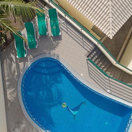 Charming Villa In Funchal Kültér fotó